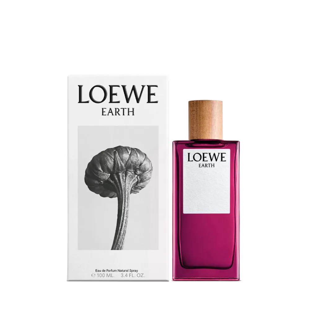 Loewe Earth Cheap