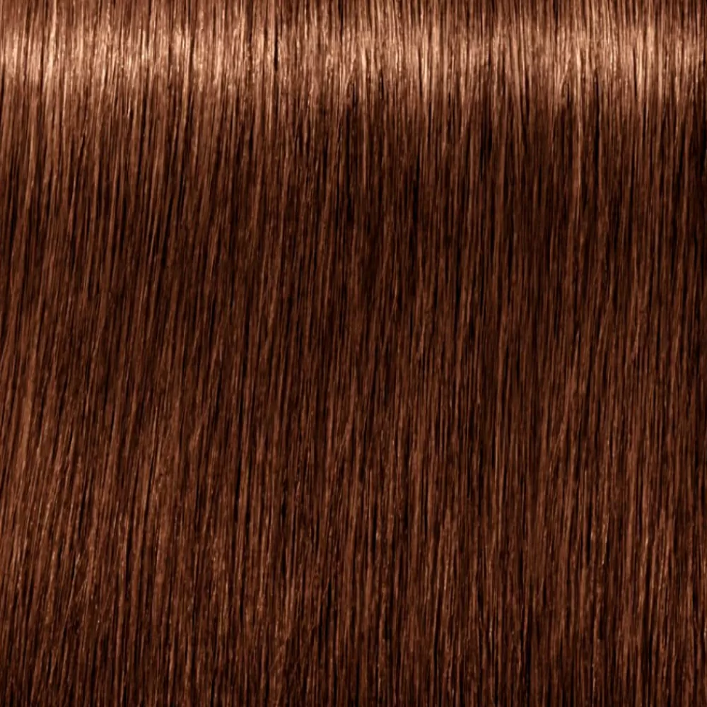 Schwarzkopf Igora Royal Absolutes Flash Sale