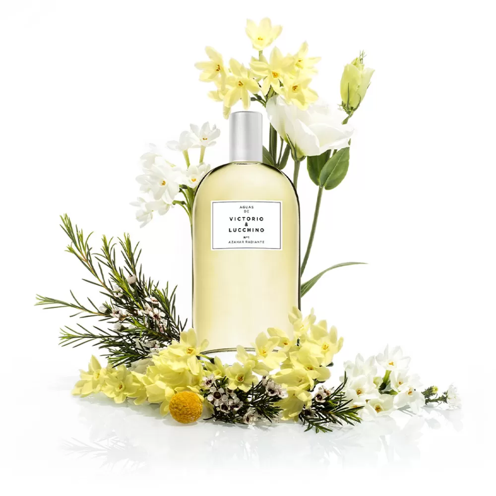 Victorio & Lucchino Aguas De Nº1 Shop